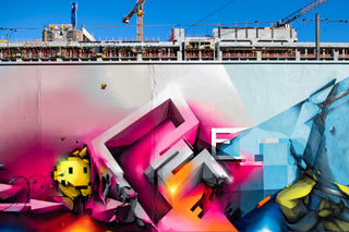 Wynwood Walls 2024